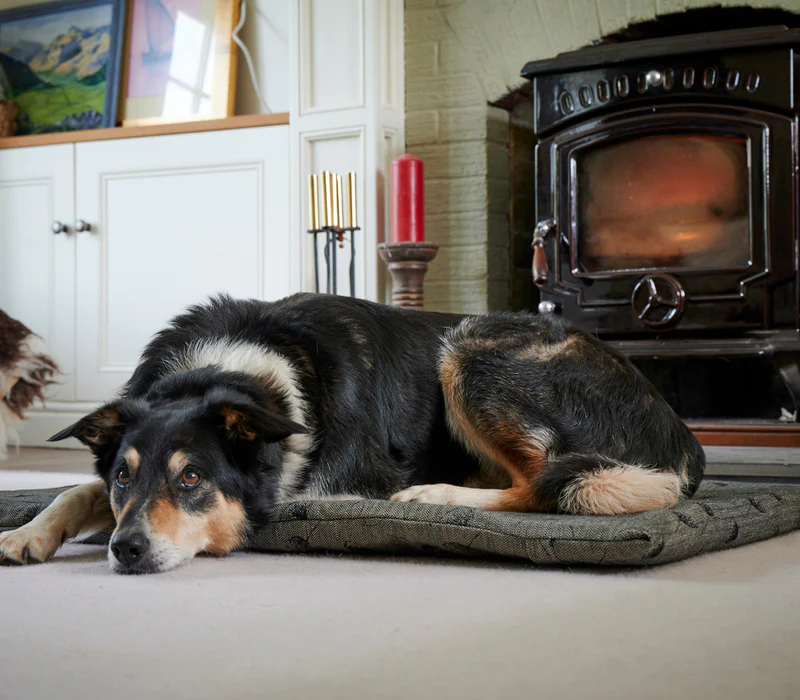 Warm Your Home Sustainably