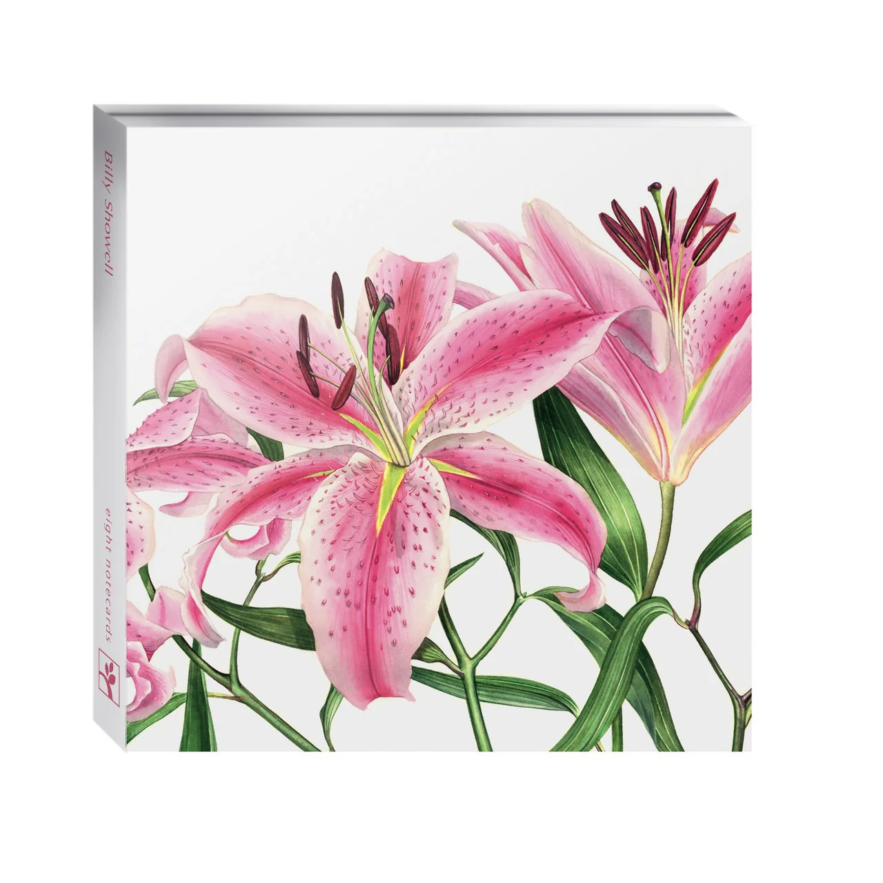 Eco-Friendly Card Co Multipack of 8 - Image 4