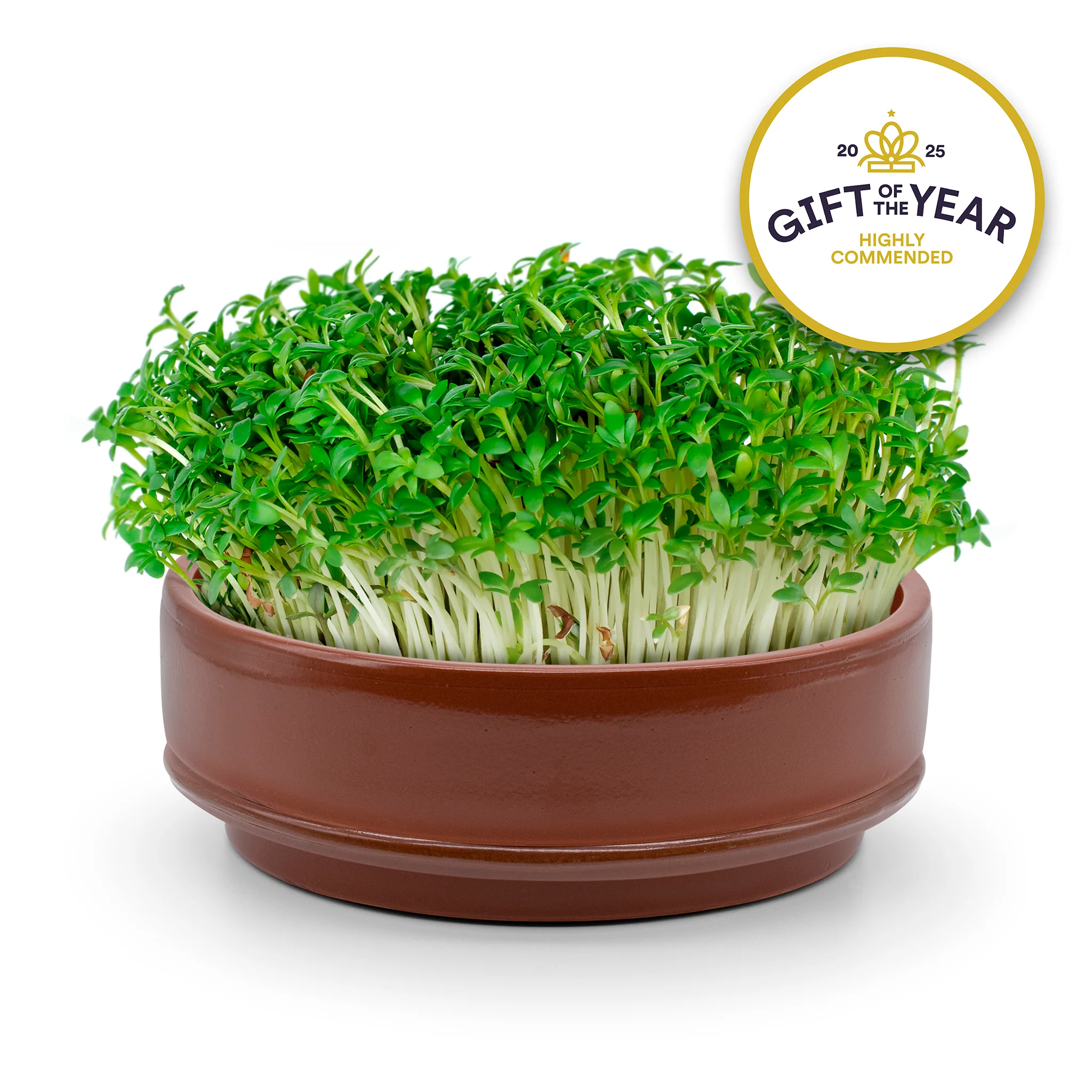 Terracotta Microgreen Grower - Image 2