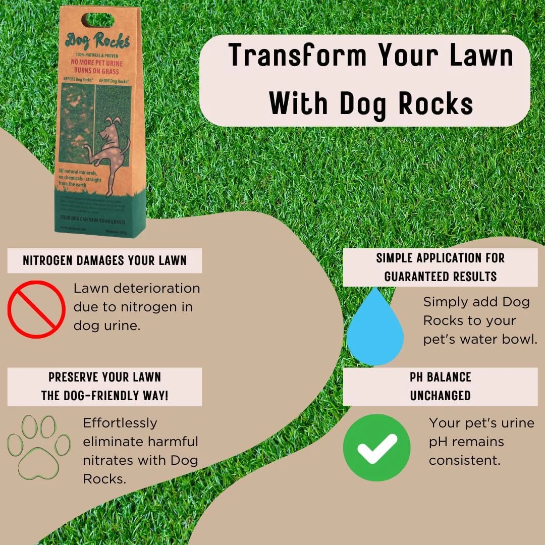 Podium Pet Products Dog Rocks - Image 4