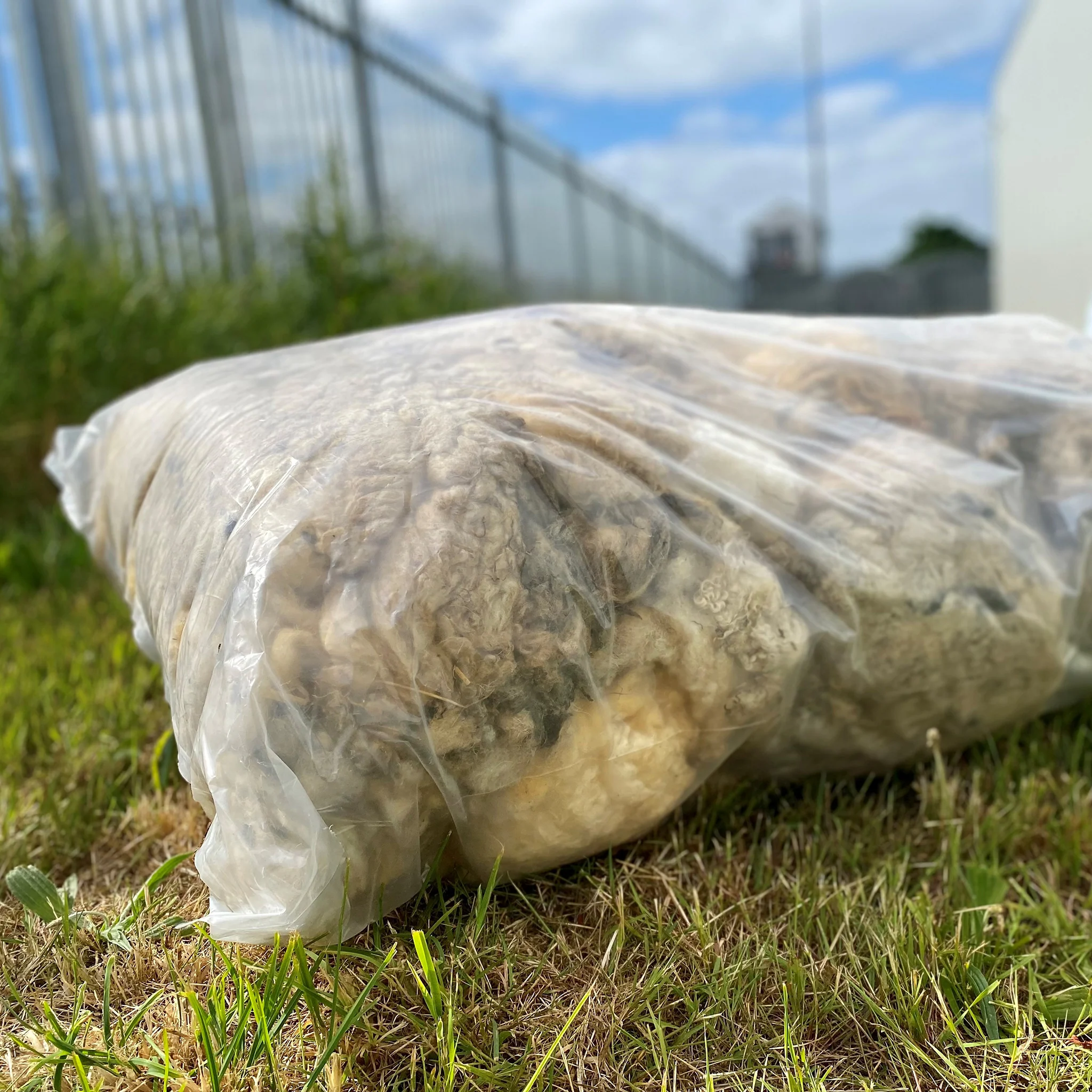 Raw Herdwick Sheep Wool 10kg - Image 4