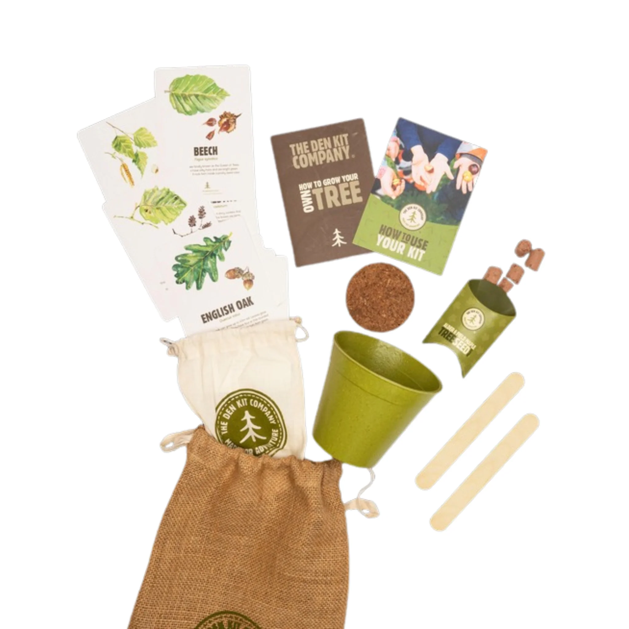 The Den Kit Company Grow Your Own British Tree Kit