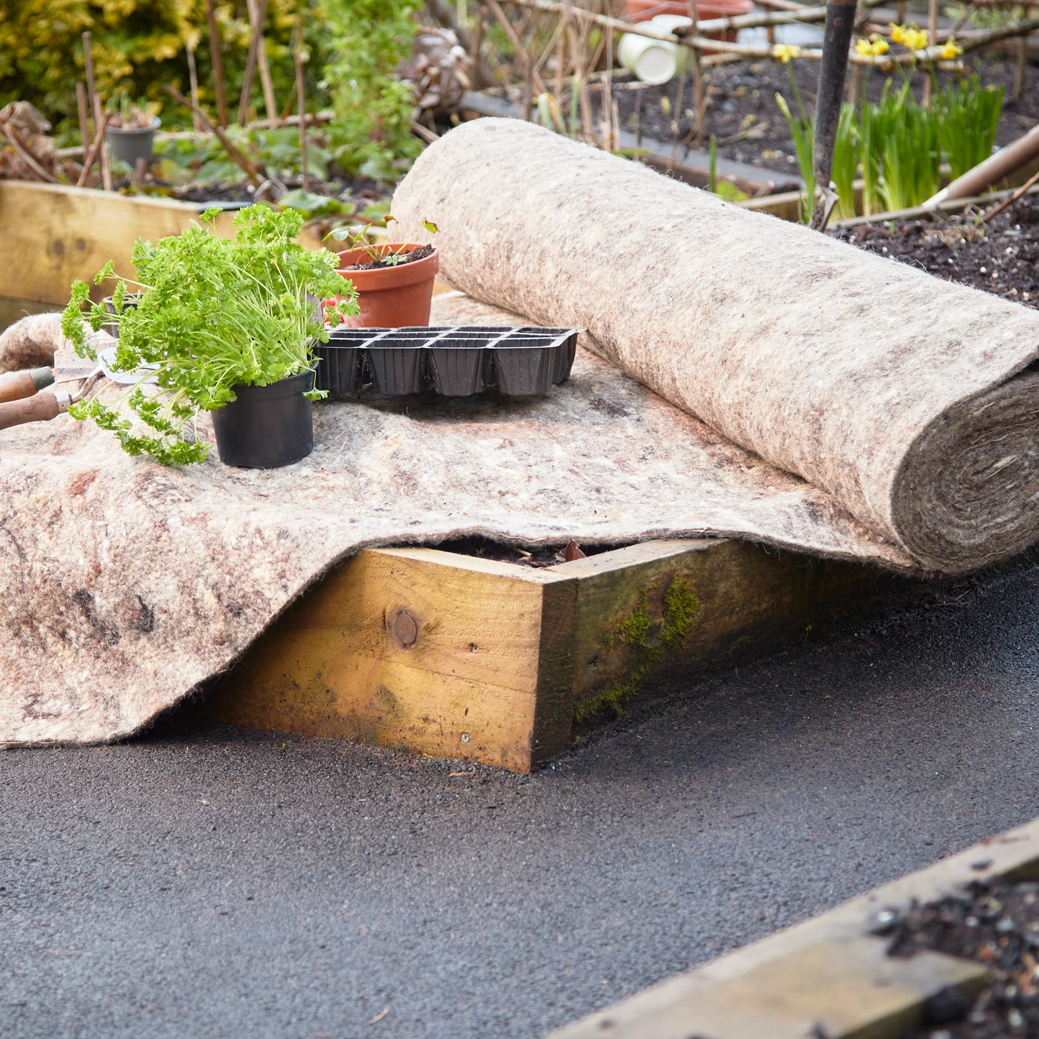 WGD Sheep Wool Garden Felt Bits - Image 4